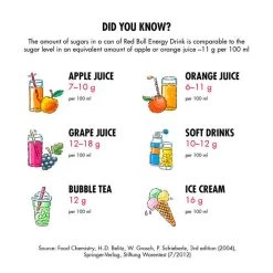 Red Bull Energy Drink 473mL 8 Red Bull Energy Drink 473mL -Outdoor Enjoyment Store BCF 526282 03 hi res