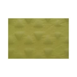 Sea To Summit Self Inflating Camp Mat Green -Outdoor Enjoyment Store BCF 530264 04 hi res