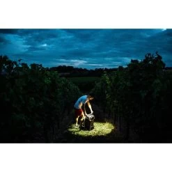 Ledlenser H7R Core Headlamp -Outdoor Enjoyment Store BCF 603506 11 hi res