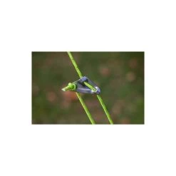 Zempire Tough Guy Guy Rope 4 Pack 6 Zempire Tough Guy Guy Rope 4 Pack -Outdoor Enjoyment Store BCF 643805 02 hi res